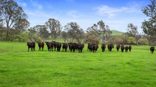 6089 Melba Highway Yea VIC 3717