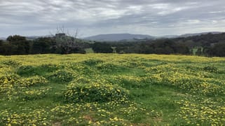 20 Chetwynd Road Whiteheads Creek VIC 3660