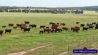 "Katella" 7878 Newell Highway Tomingley NSW 2869