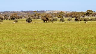 256 WAGIN-DUMBLEYUNG ROAD Wagin WA 6315 256 WAGIN-DUMBLEYUNG ROAD Wagin WA 6315