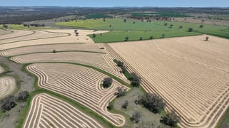 4436 Yetman Road Graman NSW 2360