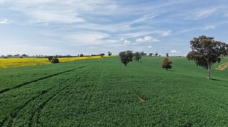 Monterosa, 744 Warrendale Road Greenethorpe NSW 2809