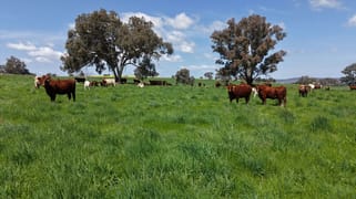 Hexham, 592 Warrendale Road Greenethorpe NSW 2809