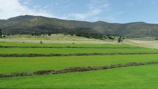 Lot 1 874 Top Swanfels Road Swanfels QLD 4371