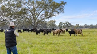 Lot 2 & Lot 1, PS 72 Basin Road Tarnook VIC 3670