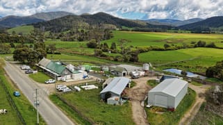 163 St Columba Falls Road Pyengana TAS 7216