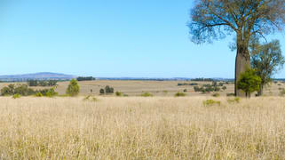 'Bracco' Orallo Road Roma QLD 4455