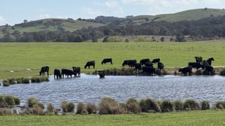 569 & 640 Blakney Creek North Road Blakney Creek NSW 2581 569 & 640 Blakney Creek North Road Blakney Creek NSW 2581