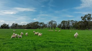 4040 Sunraysia Highway Lexton VIC 3352