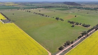 100 Tauntons Road Kikiamah NSW 2594