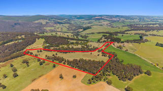 913 Duckmaloi Road Duckmaloi NSW 2787