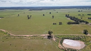 ' Dalmallee' 735 Charcoal Tank Road West Wyalong NSW 2671