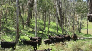 "Blair Athol" 2340 Campfire Road Walcha NSW 2354