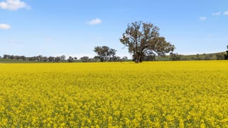 "Bellissima" 630 Astons Lane, Thuddungra Via Young NSW 2594
