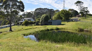 1001 Holwell Road Holwell TAS 7275