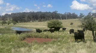 400 Bullock Mountain Road Glen Innes NSW 2370
