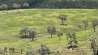 Lot 9 Silver Spur Redgate Road Silver Spur QLD 4385