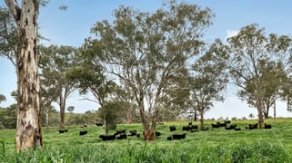 5902 Mitchell Highway Molong NSW 2866