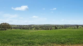 Three Rivers Road Molong NSW 2866