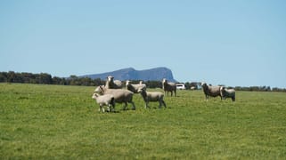 3078 Victoria Point Road Moutajup VIC 3294 3078 Victoria Point Road Moutajup VIC 3294