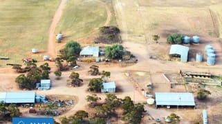 Caliph SA 5310 Caliph SA 5310