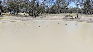 1359 Saddleback Road Forbes NSW 2871