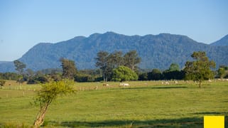1531 Waterfall Way Bellingen NSW 2454