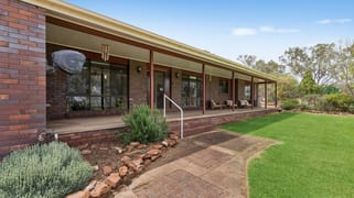 340 Carbone Road Leeton NSW 2705