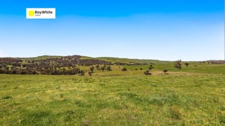 1260 Wondalga Road Adelong NSW 2729
