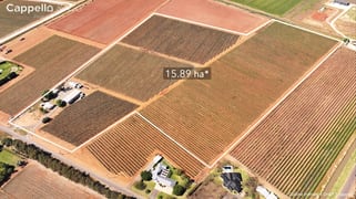 391 Rossetto Road Bilbul NSW 2680 391 Rossetto Road Bilbul NSW 2680