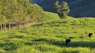 1989 Waukivory Road, Waukivory via Gloucester NSW 2422 1989 Waukivory Road, Waukivory via Gloucester NSW 2422