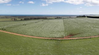 99 Jocks Road Forest TAS 7330