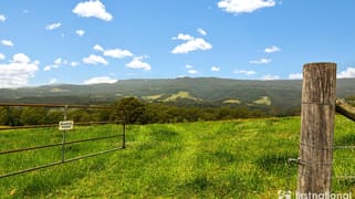 259 Minnamurra Falls Road Jamberoo NSW 2533
