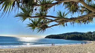 Noosa Heads QLD 4567