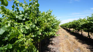 1489 McDonough Road Yenda NSW 2681