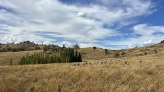 Lot 1 Mount Mcdonald Road Wyangala NSW 2808 Lot 1 Mount Mcdonald Road Wyangala NSW 2808