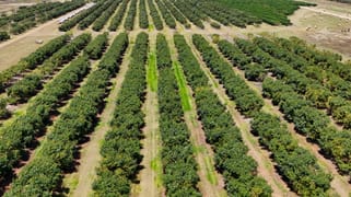 1611 Mareeba-Dimbulah Arriga QLD 4880