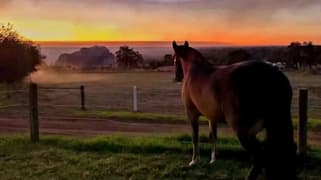 611 Coolup Road East Meelon WA 6208