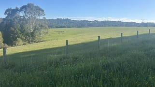 520 Dehnerts Track Beech Forest VIC 3237