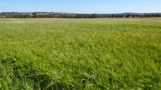 Lot 51 & 1 Boyagarra Road Brookton WA 6306