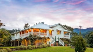 64 Mount Warning Rd Mount Warning NSW 2484