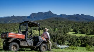 148 Pine Log Road Doon Doon NSW 2484