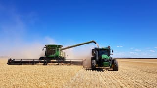 . Waitavalo Farms Narembeen WA 6369