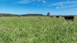 50 Tuckean Island Road Marom Creek NSW 2480