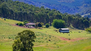 305 & Lot 8138 Balingup-Nannup Road Balingup WA 6253
