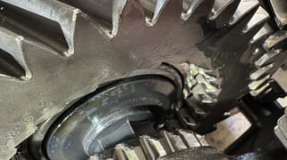 Alexandra Headland QLD 4572