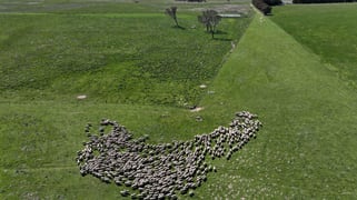 175 Bolong Road Golspie NSW 2580