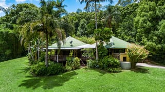 20 Lilly Pilly Road Wilsons Creek NSW 2482