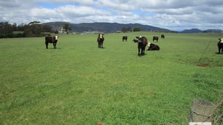 921 Melrose Road Melrose TAS 7310