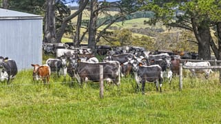 137 Faggotter Road Myponga SA 5202
